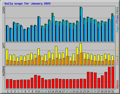 Daily usage for January 2025