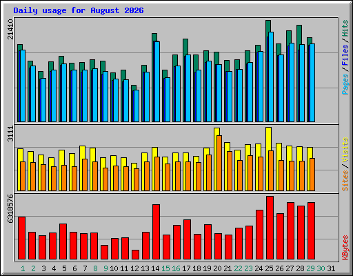 Daily usage for August 2026