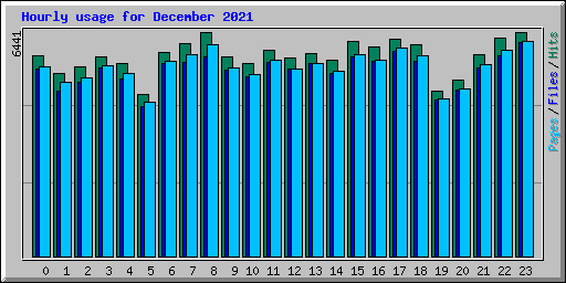 Hourly usage for December 2021