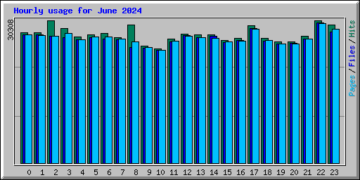 Hourly usage for June 2024