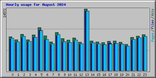 Hourly usage for August 2024