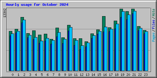 Hourly usage for October 2024