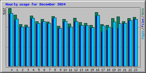 Hourly usage for December 2024