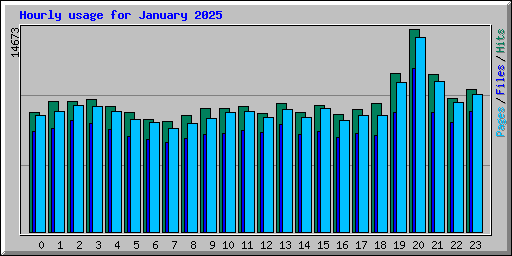 Hourly usage for January 2025