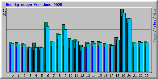 Hourly usage for June 2025