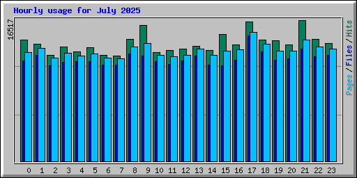 Hourly usage for July 2025