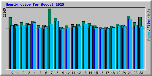 Hourly usage for August 2025