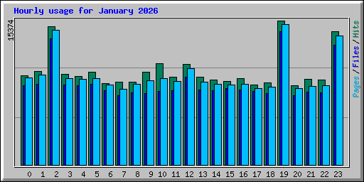 Hourly usage for January 2026