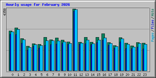Hourly usage for February 2026