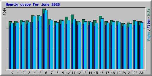 Hourly usage for June 2026